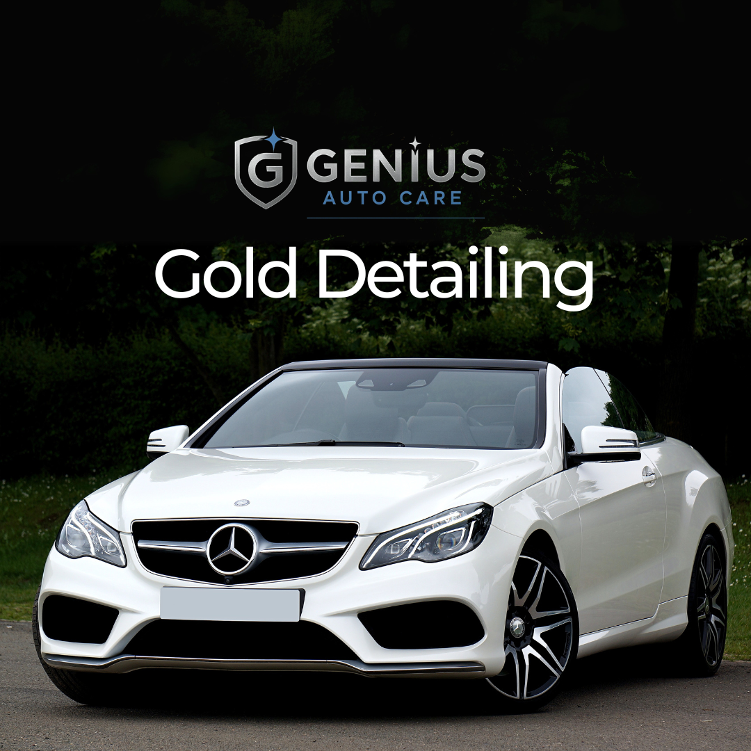 Gold Detail (Steam Package) - Car